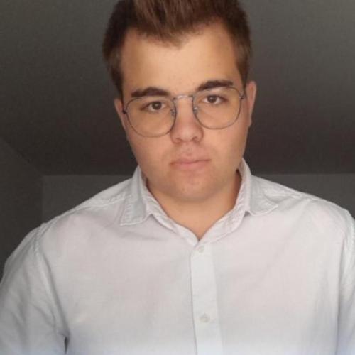 Daniel Martins Gomes 