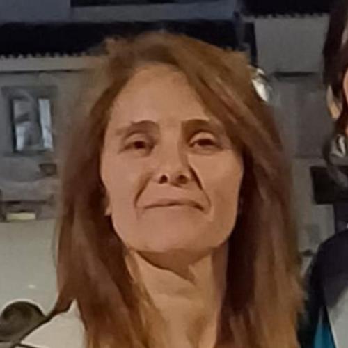 Telma Maria Pereira Panelas Cercas 