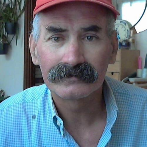 João Baptista Ferreira de Sousa