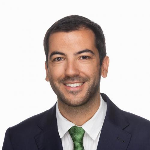 António Afonso Mota